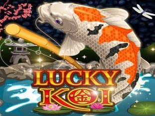 Lucky Koi